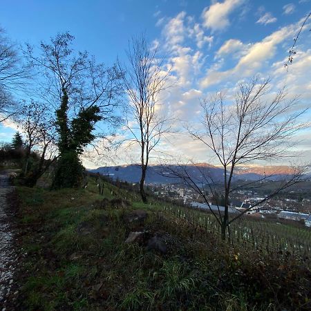 Casa Pigano Leilighet Appiano Sulla Strada Del Vino Eksteriør bilde