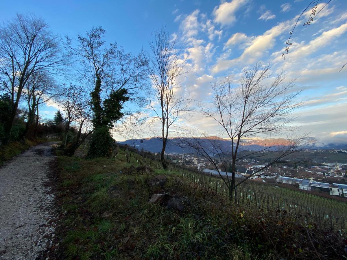 Casa Pigano Leilighet Appiano Sulla Strada Del Vino Eksteriør bilde
