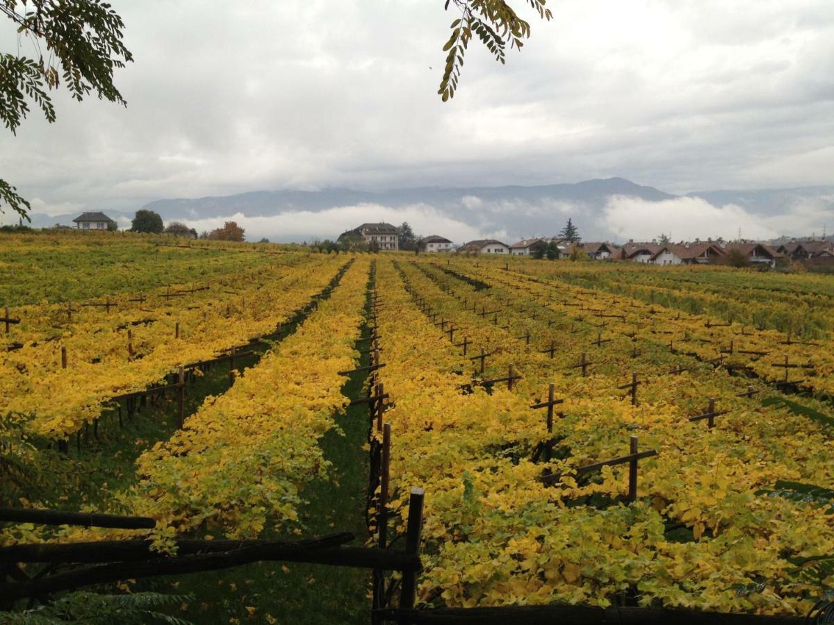 Casa Pigano Leilighet Appiano Sulla Strada Del Vino Eksteriør bilde